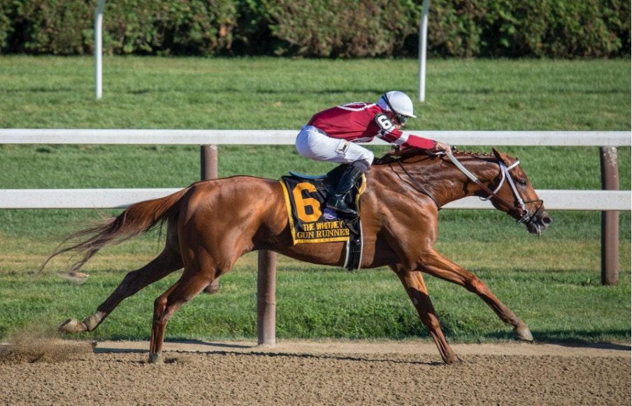 prepare horse race day
