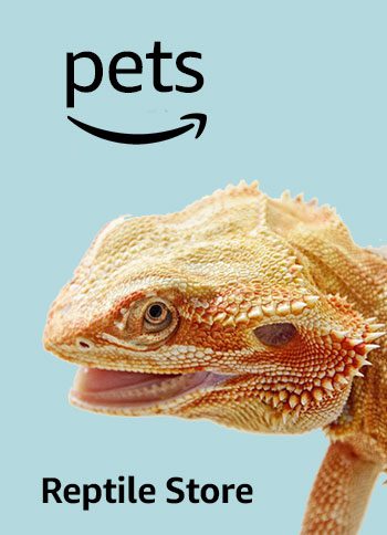 amazon pet animal store