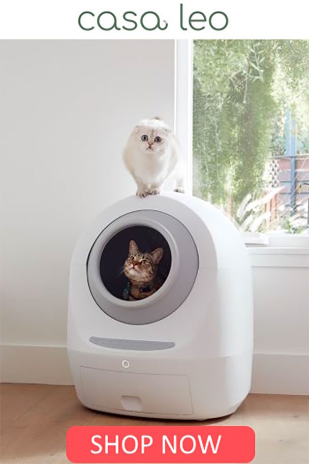 amazon pet animal store