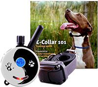e-collar training