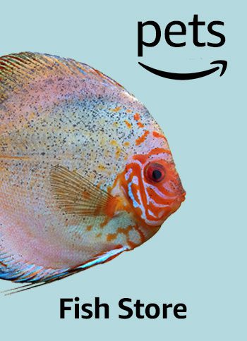 amazon pet animal store