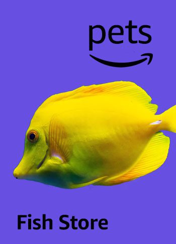 amazon pet animal store