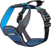 dog leash