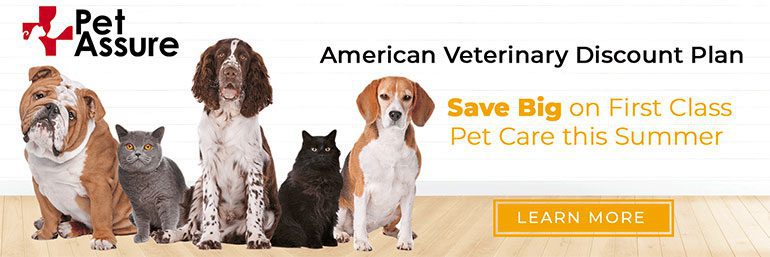pet assure
