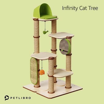 amazon pet animal store