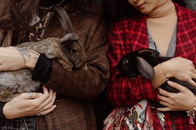 Top Pet Rabbit Breeds