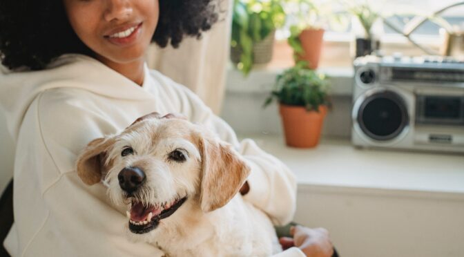dog care exercise grooming
