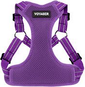 hacks pick right goldendoodle harness