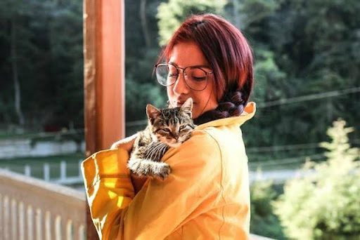 pet pets cats love dog care