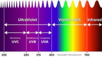 reptile uv lights