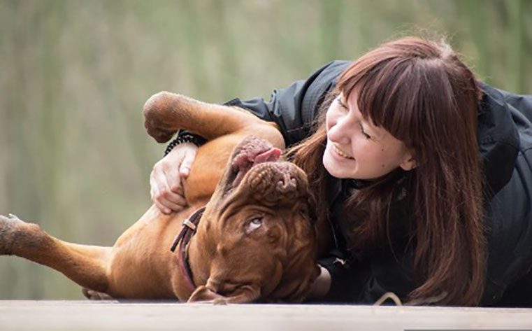 engage one-on-one with your dog