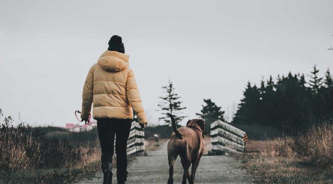 harjinder rFZaQdBdFc4 unsplash
