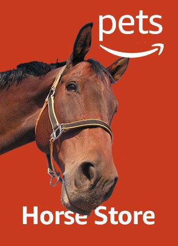 amazon pet animal store