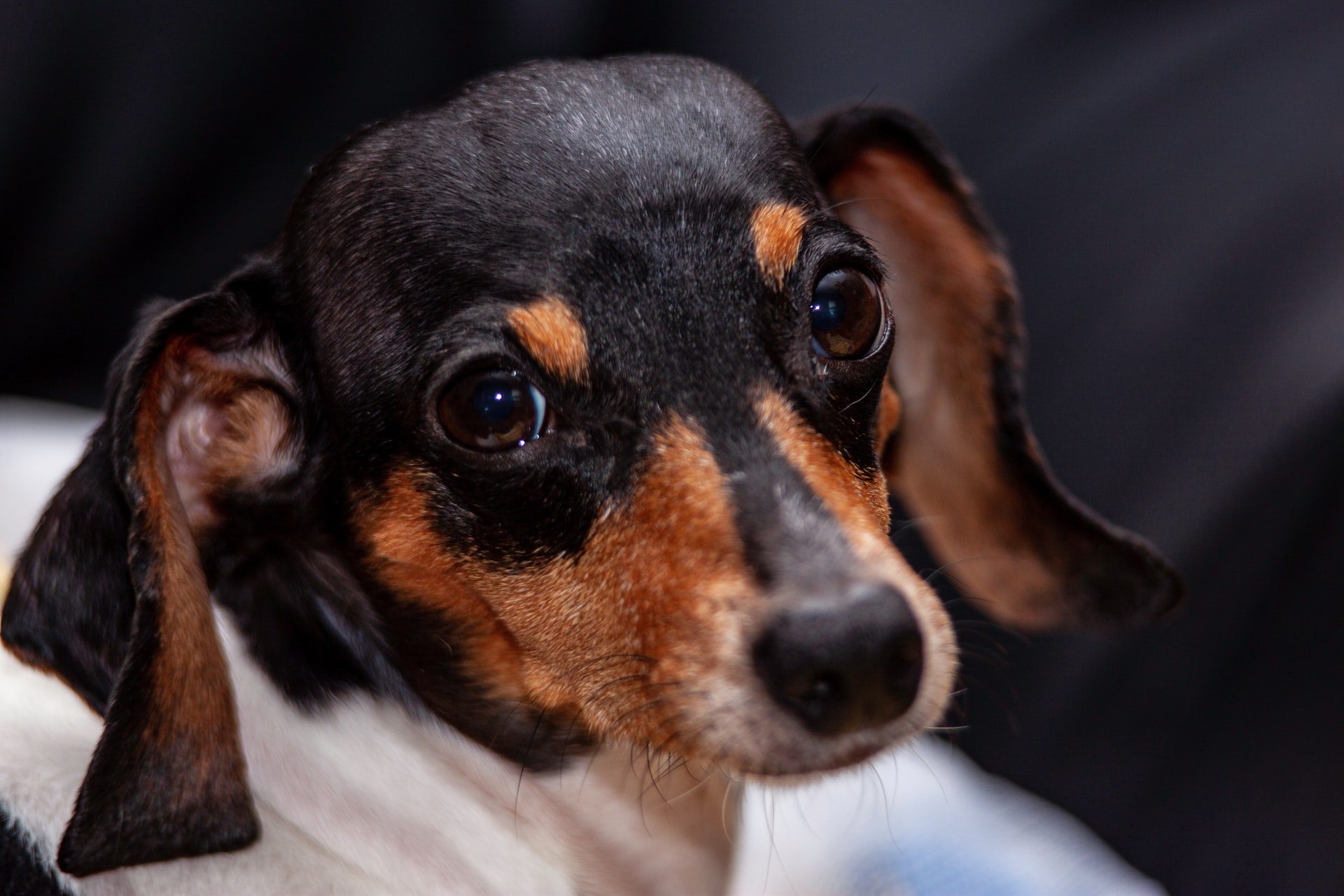 michael payne KMYcz26Qw1A unsplash