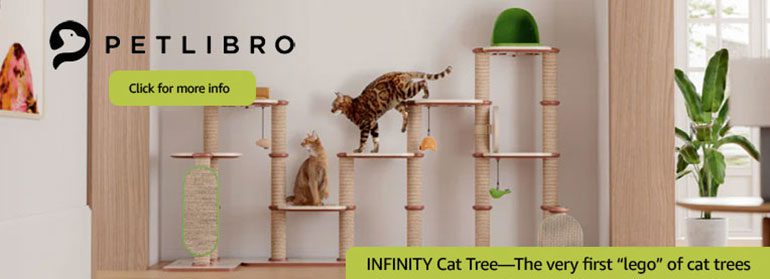 safe environment cats boarding facility