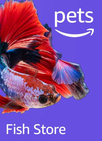 amazon pet animal store