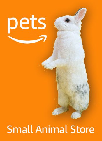 amazon pet animal store