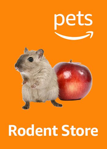 amazon pet animal store