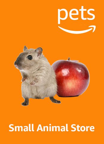 amazon pet animal store