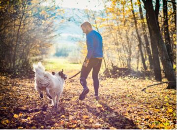 dog dog-friendly fall pup love